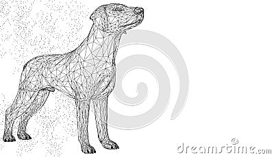 Dog cute 3d vector illustration animal. Abstract wirframe polygon triangle geometric background. Low poly blue line mesh futuristi Vector Illustration