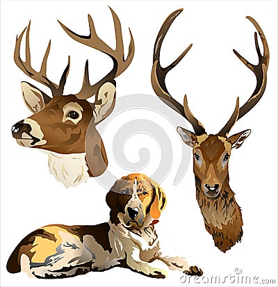 A dog and a deer head. Stock Photo