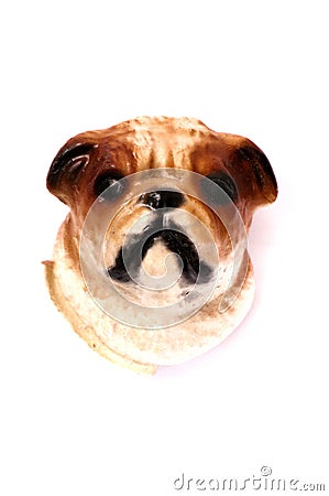 A dog doggie head fridge magnet white backdrop Stock Photo