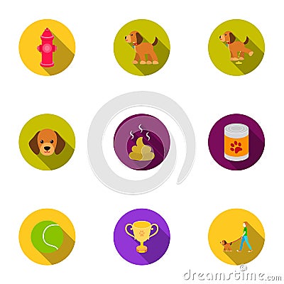 Dog equipment set icons in flat style. Big collection dog equipment vector symbol stock illustration Vector Illustration