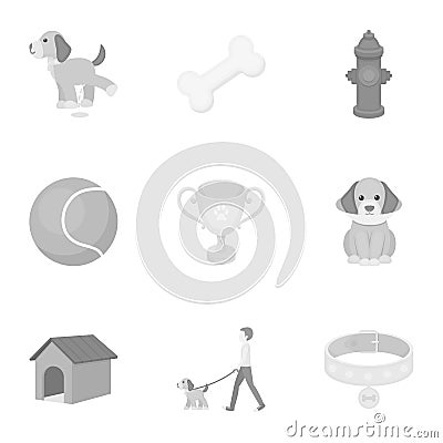 Dog equipment set icons in monochrome style. Big collection dog equipment vector symbol stock illustration Vector Illustration