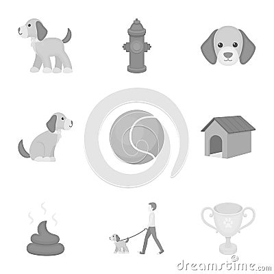 Dog equipment set icons in monochrome style. Big collection dog equipment vector symbol stock illustration Vector Illustration