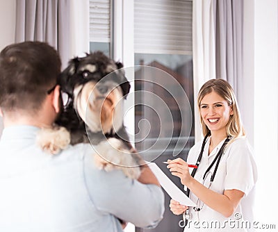 Dog examination at veterinarian Stock Photo
