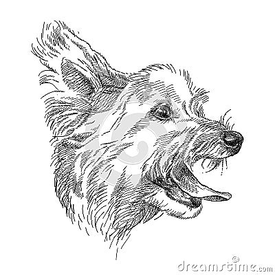 Vector hand drawn sketch of cute Yorkshire terrier or Yorkie head profile in black isolated on white background. Vector Illustration