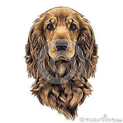Dog face sketch vector graphics Vector Illustration