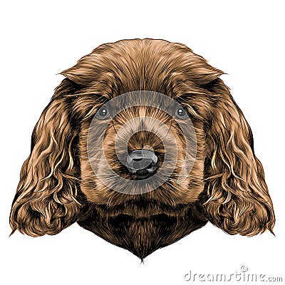 Dog face sketch vector graphics Vector Illustration