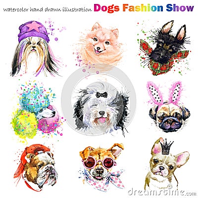 Dog with fashion accessories. Trendy dogs breed set. Pets shop background. cute domestic animal Cartoon Illustration