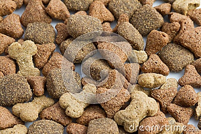 Dog food Stock Photo