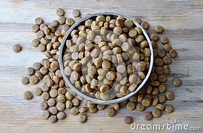 Dog food in circle stainless bowl Stock Photo