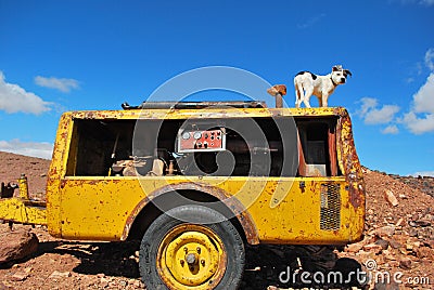 Dog on the generator. Stock Photo