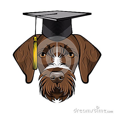 Dog German Shorthaired Pointer Graduate. Graduation cap hat. Vector. Vector Illustration