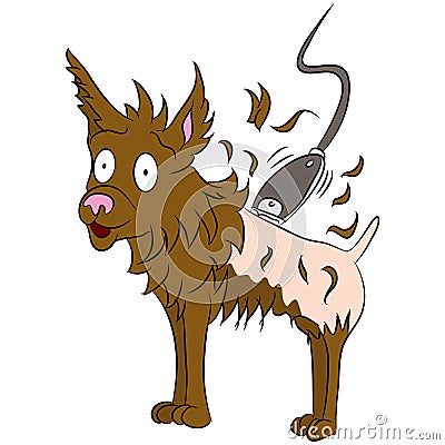 Dog Getting Shaved Haircut Vector Illustration