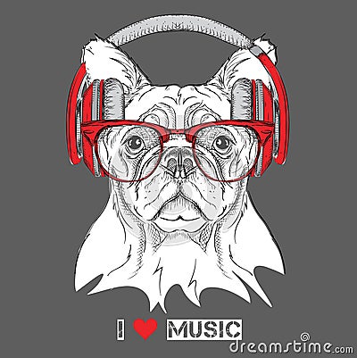 Dog in glasses and headphones. Vector illustration. Vector Illustration