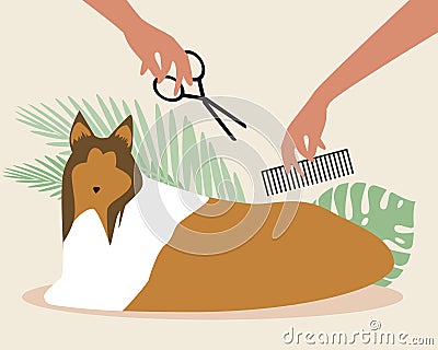 Dog grooming, collie isolated, flat vector stock illustration, master cuts pet Cartoon Illustration