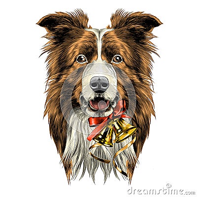 Dog head breed border collie Vector Illustration