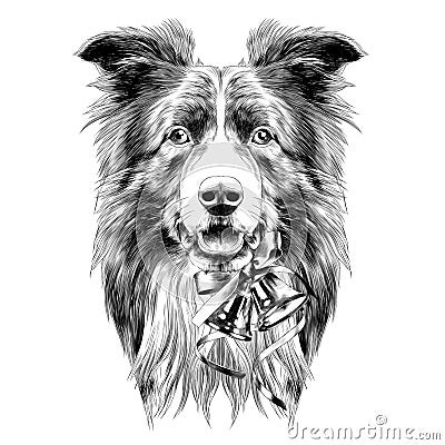 Dog head breed border collie sketch Vector Illustration