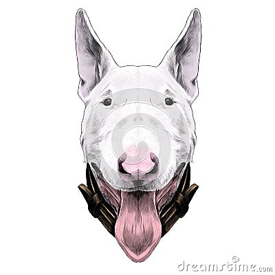 Dog head breed bull Terrier sketch vector graphics Vector Illustration