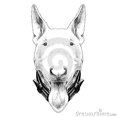 Dog head breed bull Terrier sketch vector graphics Vector Illustration