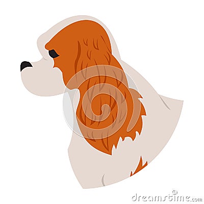 Dog head cavalier charles king spaniel Vector Illustration