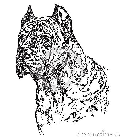 Dog head in profil vector hand drawing illustration Vector Illustration