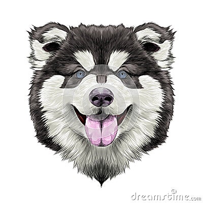 Dog head symmetry sketch vector graphics Vector Illustration