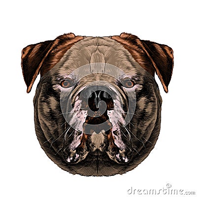 Dog head symmetry sketch vector graphics Vector Illustration