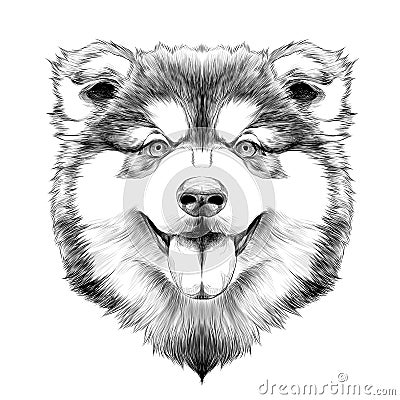 Dog head symmetry sketch vector graphics Vector Illustration