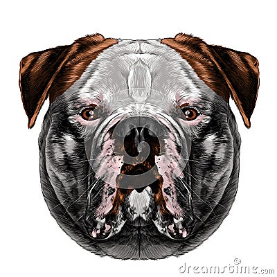 Dog head symmetry sketch vector graphics Vector Illustration