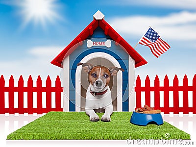 Dog house Stock Photo