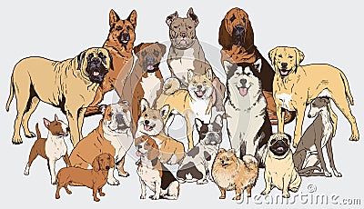 Dog illustration collection. Vector Illustration