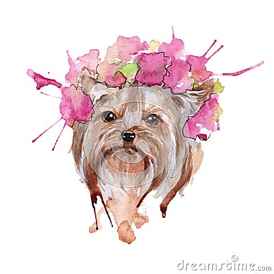 Dog illustration. Yorkie. . watercolor Stock Photo