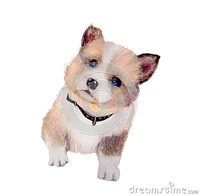 Dog isolated on white background .Puppy Dog Hand painted Watercolor illustration. Stock Photo