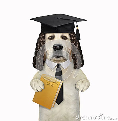 Dog judge holds yellow book Stock Photo