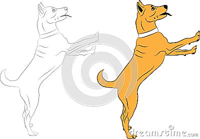 Dog jumping asking someone something Vector Illustration