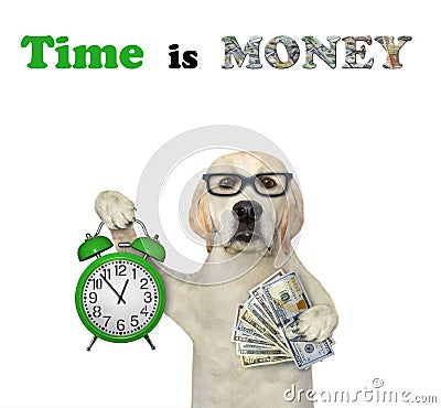 Dog labrador with alarm clock and dollars Stock Photo