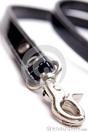 Dog Lead Vertical Stock Photo