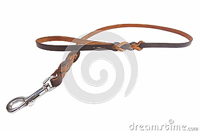 Dog leather leash Stock Photo