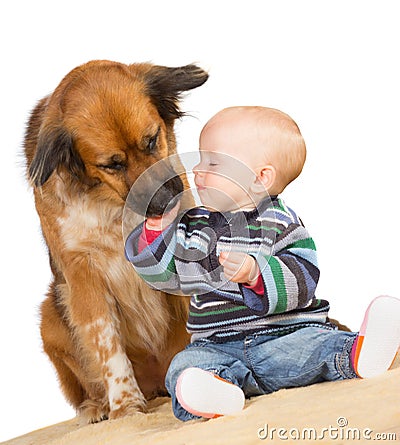 Dog licking a cute baby Stock Photo