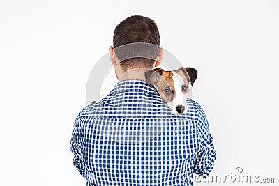 The dog lies on the shoulder of its owner. Jack Russell Terrier in his owner`s hands on white background. The concept of people an Stock Photo