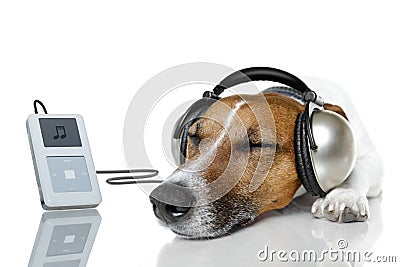 Dog listen to music Stock Photo