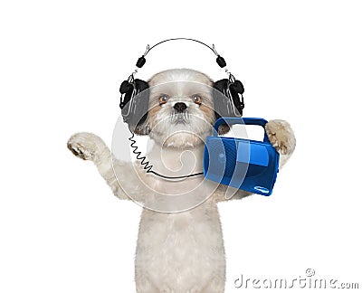 Dog listening to music and dancing Stock Photo