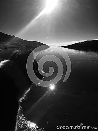 Dog Looking At Lake in Winter Stock Photo