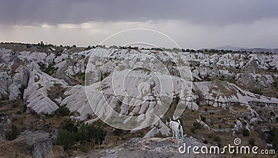 Dog looking at valley with white rocks in stormy weather, Cappadoccia Stock Photo