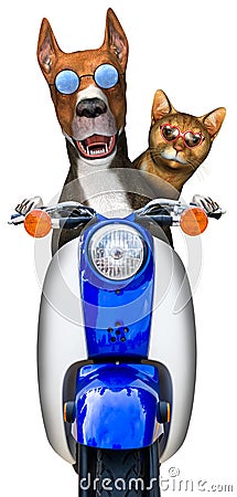 Dog Love Cat Motorcycle Isolated Cartoon Illustration