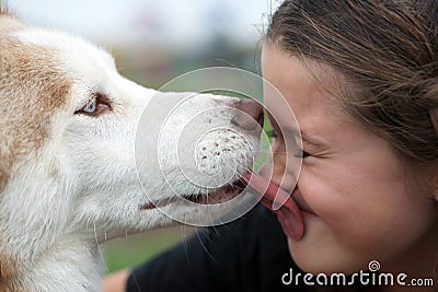 Dog love Stock Photo