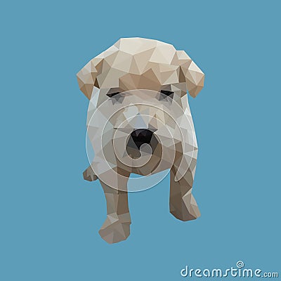 Dog Low Polygon Stock Photo