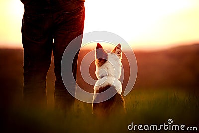 Dog an Man looking at the sunset, camping and traviling with the Stock Photo