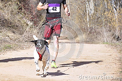 Popular canicross race Editorial Stock Photo