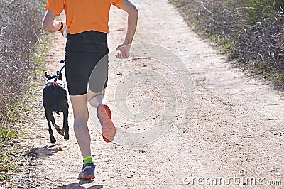 Popular canicross race Editorial Stock Photo