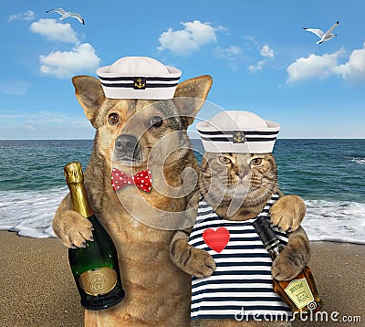 Dog hugging cat mariner 2 Stock Photo